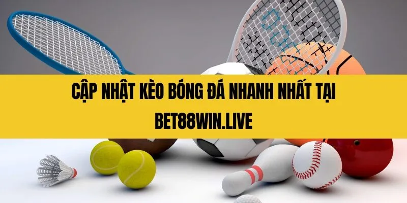 Web cá độ bóng