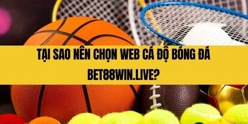 Web cá độ bóng