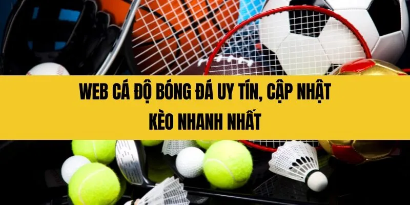 Web cá độ bóng